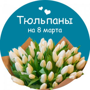 Купить тюльпаны в Березниках